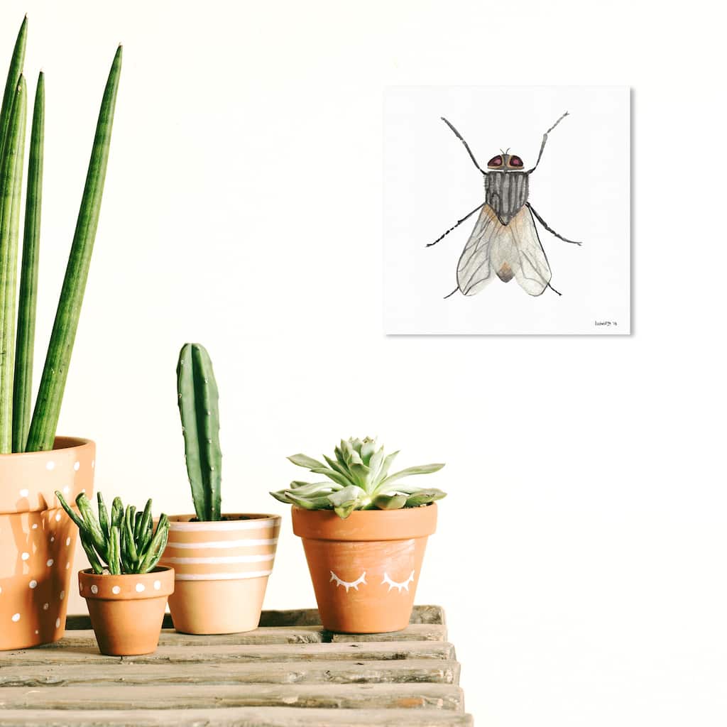 Wynwood Studio Canvas Animals Fly Gray and Light Gray Farmhouse Wall Art Canvas Print
