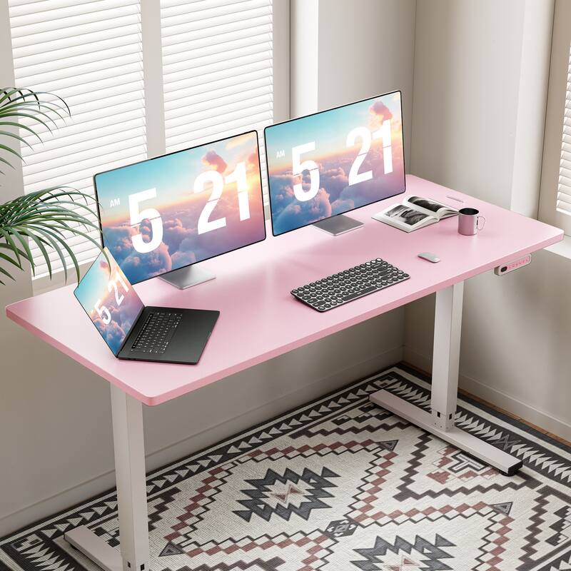 SIAGO 48 x 24 Inch Computer Desk Height Adjustable Electric Sit Stand Up Desk