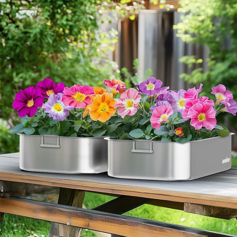 Stainless Steel Planter Box with Wire Handle Greenhouse Planting Box (set of 3)