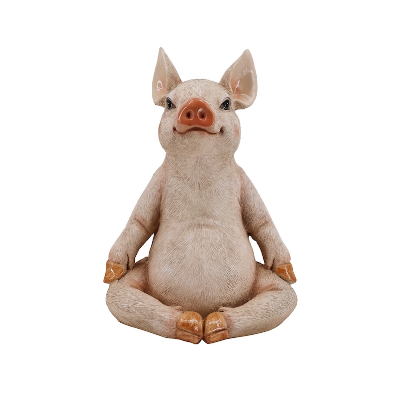 Pig In Meditation