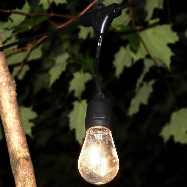 Shop Sunnydaze Indoor Outdoor Led String Lights Edison Bulbs 23