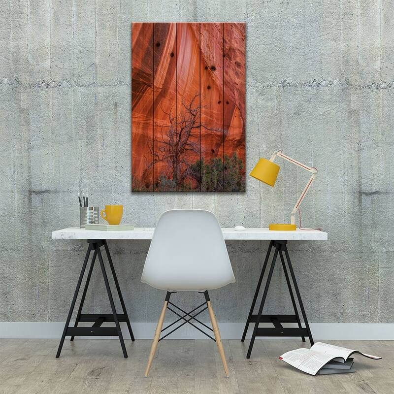 Utah Juniper And Cliff With Desert Varnish, Grand Staircase-Escalante National Monument, Utah Print On Wood by Jeff Foott