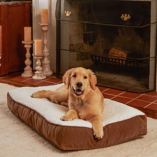 Bed bath discount beyond dog bed