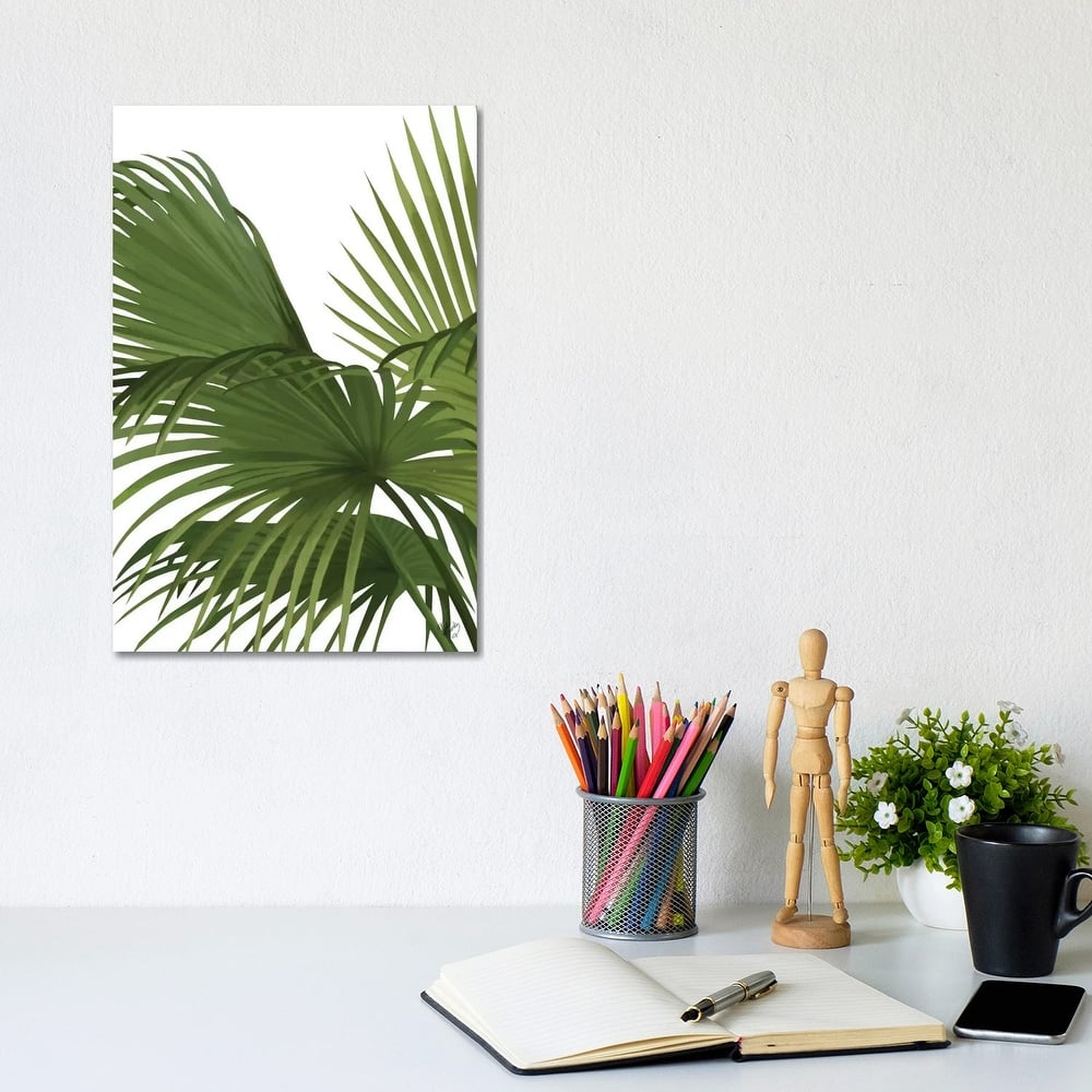 iCanvas "Another Fan Palm II" by Fab Funky Canvas Print