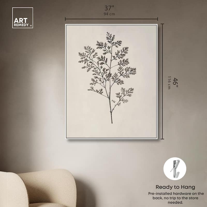 Aniseed Anatomy II Canvas Delicate Floral by Art Remedy