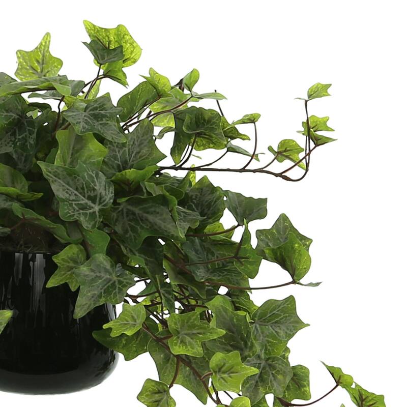 Ivy Arrangement in a Glass Vase - Green