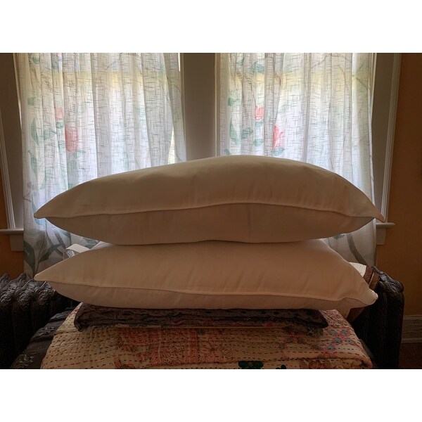 chaps down alternative bed pillows