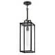 preview thumbnail 2 of 4, Hinkley Lighting 23012 Catalina 8" Wide Outdoor Mini Pendant
