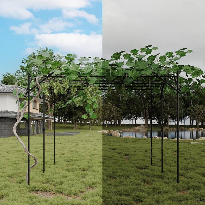 6.62 ft Metal Garden Arch Trellis - Powder-Coated Outdoor Arbor for Climbing Plants Weddings and Patio Decor Easy to Assemble