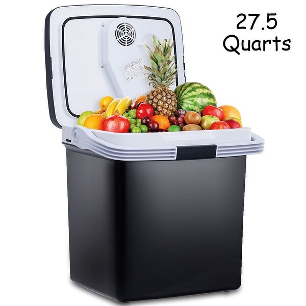 electric food cooler