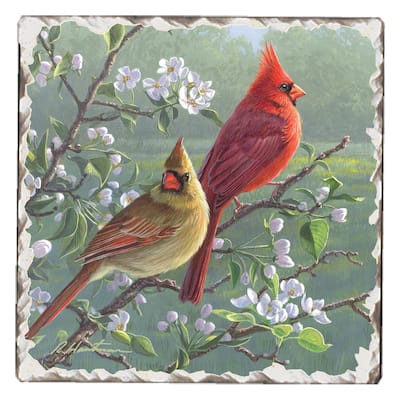 Counterart Absorbent Stone Coasters - Cardinals #1 - Set of 4 - 4x4x4
