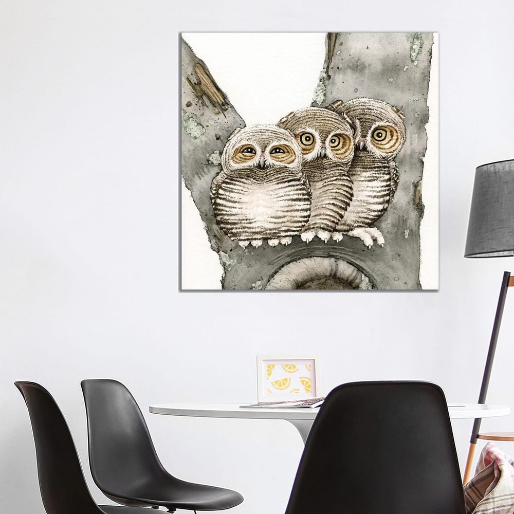 iCanvas "Three Owls" by Tracy Lizotte Canvas Print