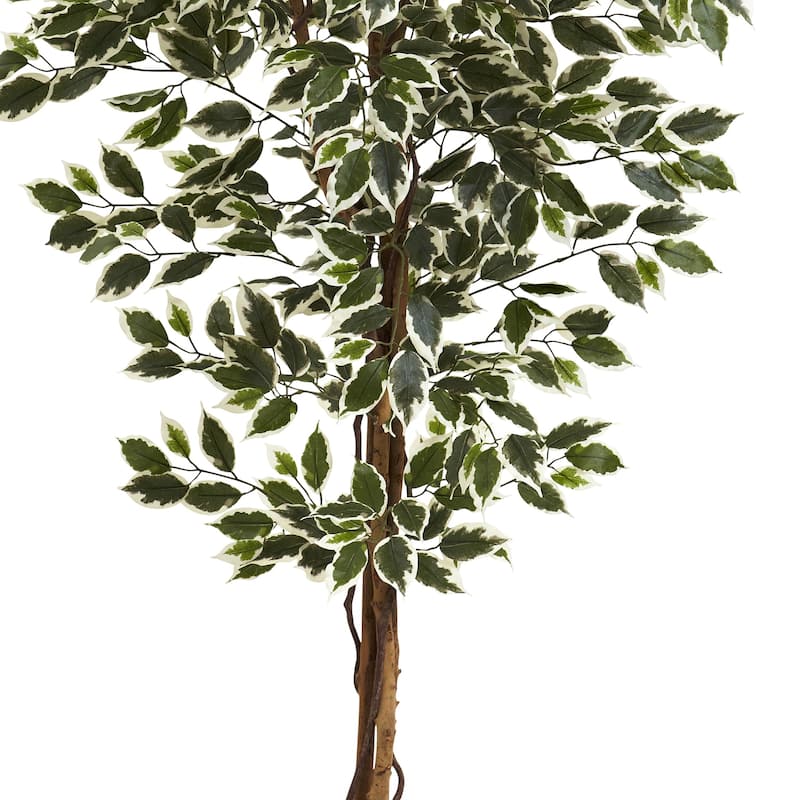 Hawaiian Vintage Tree - 6Ft Tropical Decor - Lush Green White Foliage - Indoor Plant - Home Office Gift - 6ft.