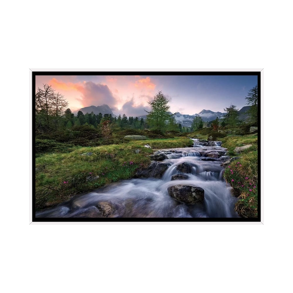 "Wild Paradise" by Stefan Hefele Framed