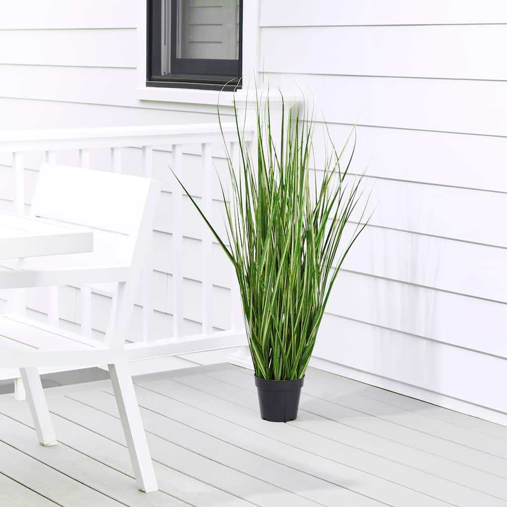 48" UV Potted Variegated Grass