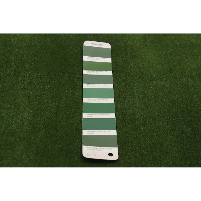 Kashkuli Gabbeh Green Rug 2'8" x 17'8" - 2'8 x 17'8