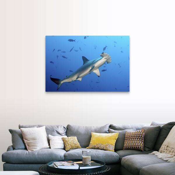 Shop Hammerhead Shark Canvas Wall Art Overstock 25619108