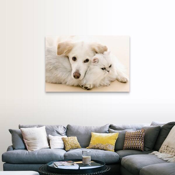 Shop White Cat And Dog Laying Together On The Floor Canvas Wall