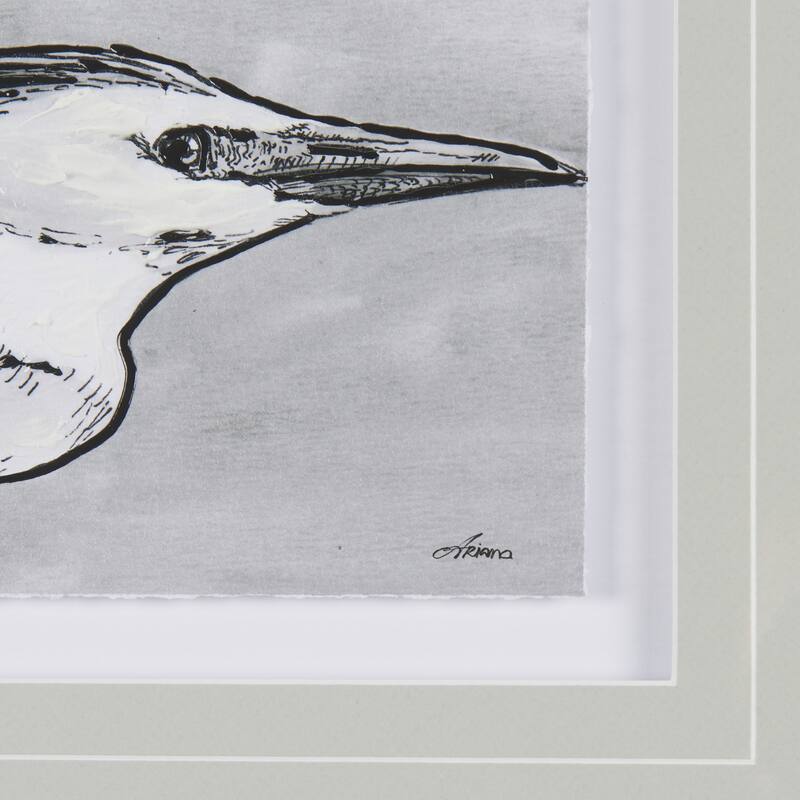 Bird Portrait Sketch III Framed Art Print