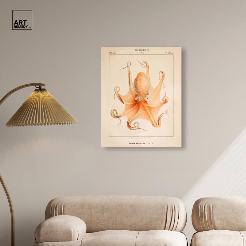 Verany The Octopus 1815 II Canvas by Art Remedy, Gallery Wrapped