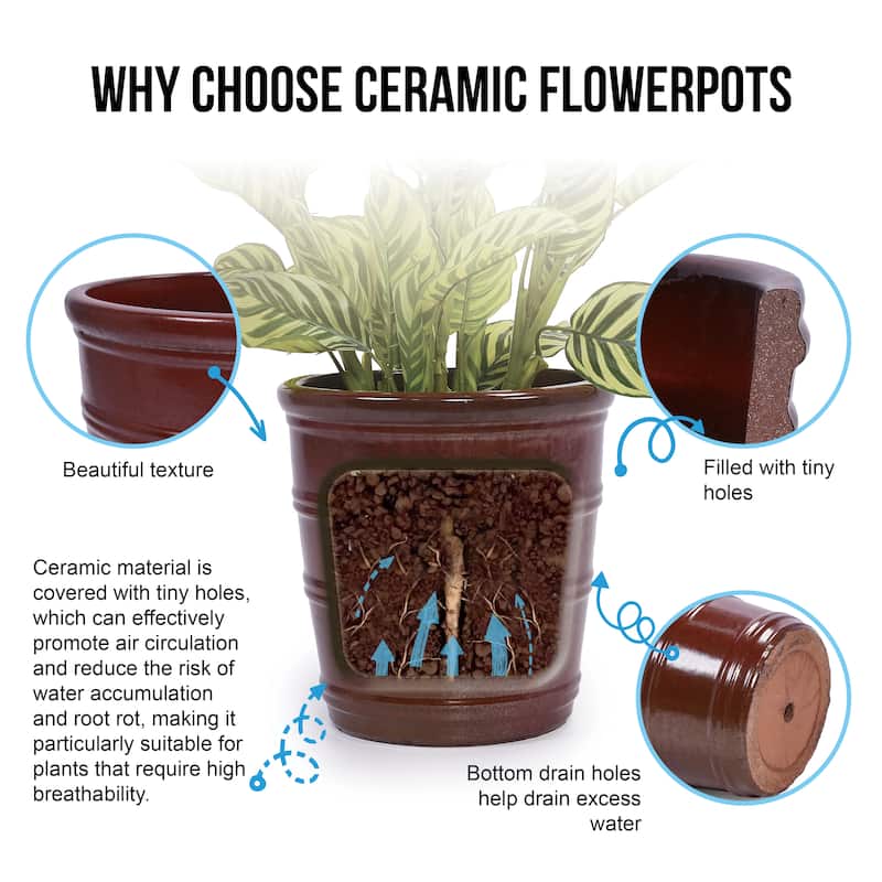 3 Breathable Handmade Ceramic Planters Ring Design for Succulent Herbs