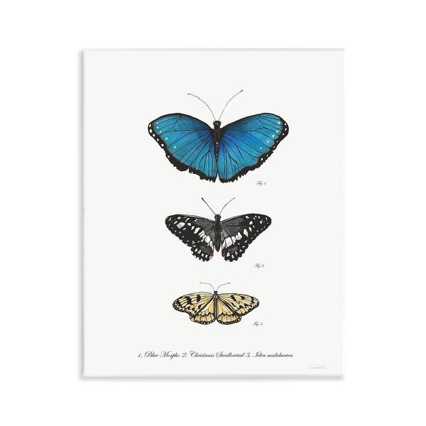 Stupell Vintage Butterfly Specimens Wall Plaque Art Design By Connie ...