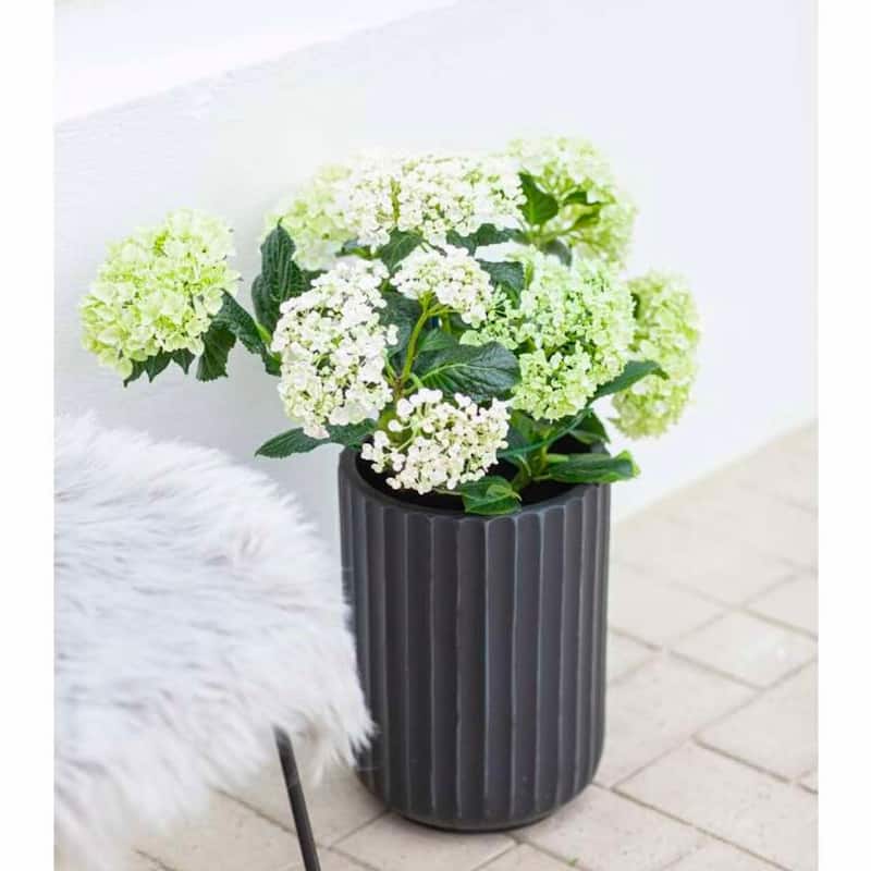 DreamPatio North Pole Fiberstone Planter
