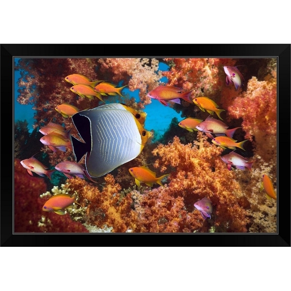 "Coral reef scenery with fish" Black Framed Print