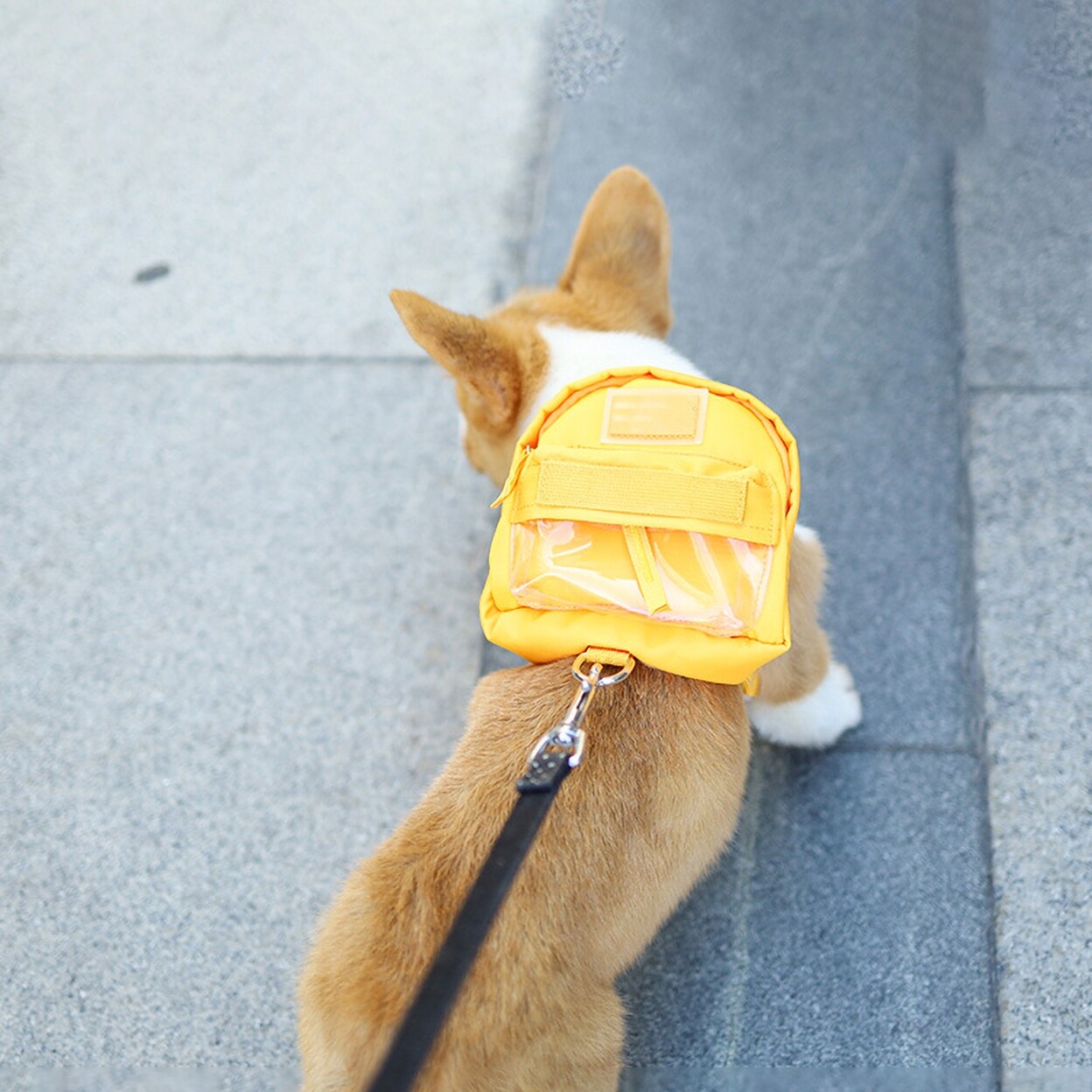 Dog Waterproof Large Capacity Backpack Cartoon Travel  display picture 1