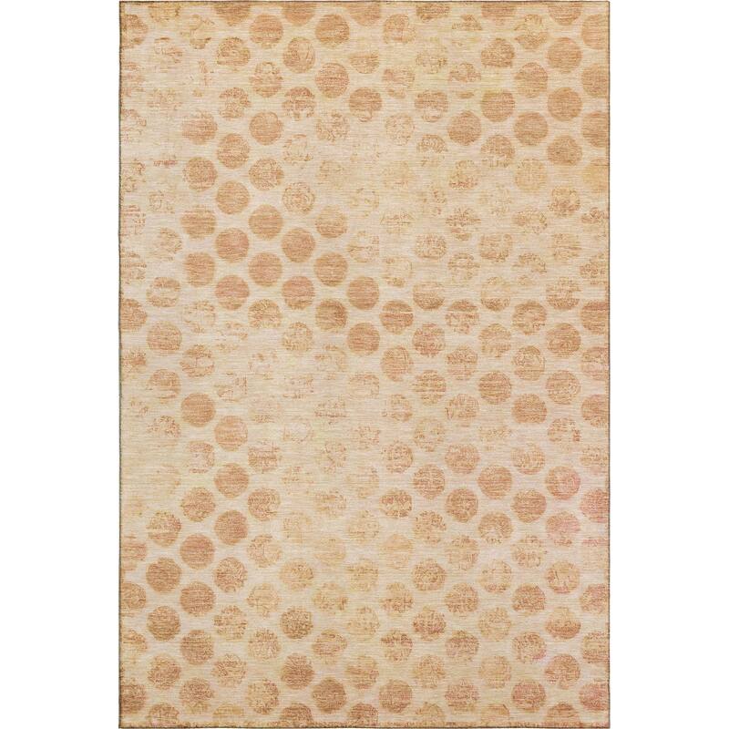 Premium Washable Super Soft Vintage Dotty Mayfield Rug