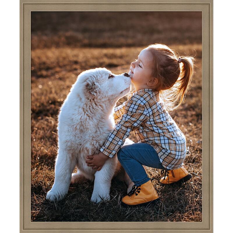 Florence Gold Framed Picture Frame, Photo Frame - 18x22 - Florence Light Brown