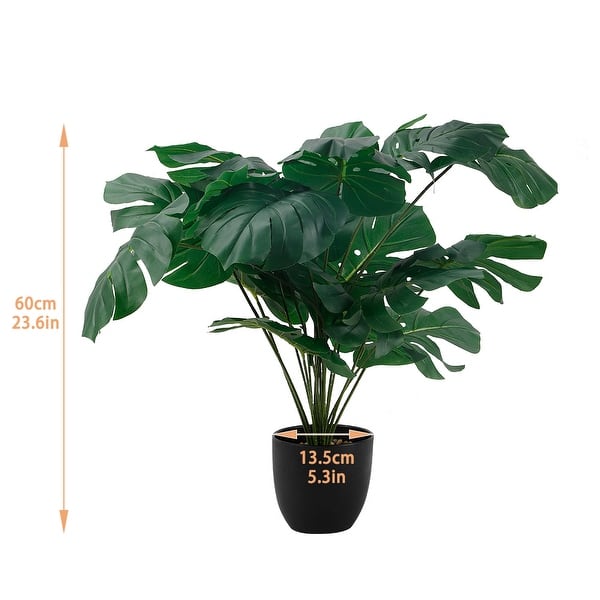 rhododendron im angebot Rhododendron Eyecatcher® 'Blush' kaufen main image 1