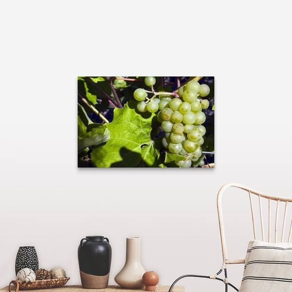 Shop Grapes On The Vine Canvas Wall Art Overstock 29112957
