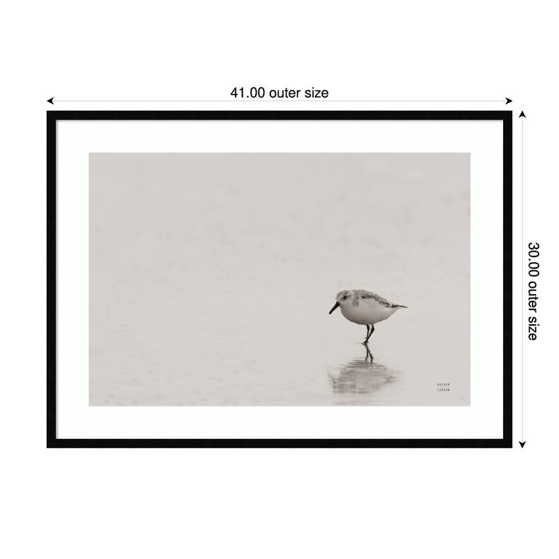 Tybee Island Sanderling by Nathan Larson Wood Framed Wall Art Print - 41 x 30 in - Black