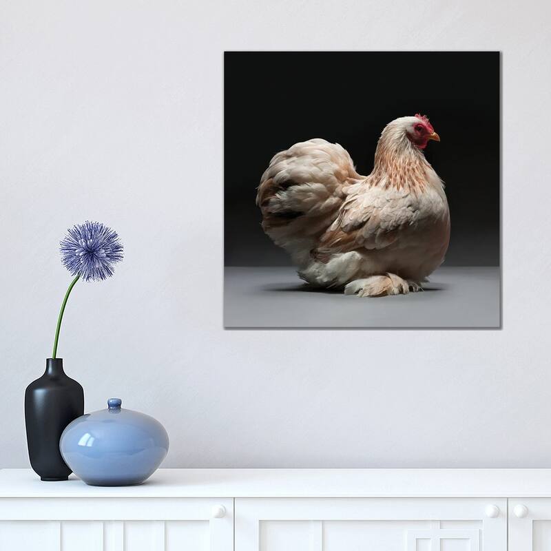 iCanvas "Cochin Bantam" by CHICken Canvas Print - 18x18x1.5