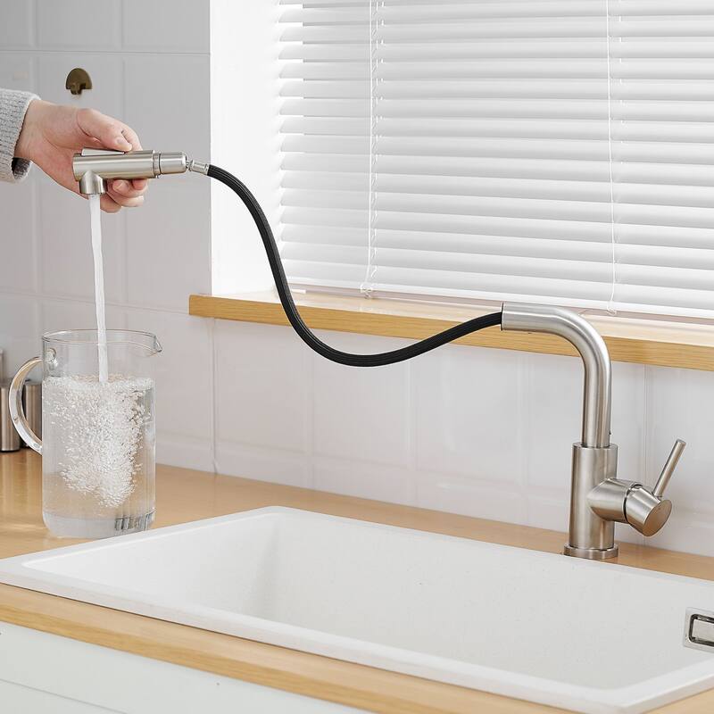 Kitchen Faucet with Pull Down Sprayer