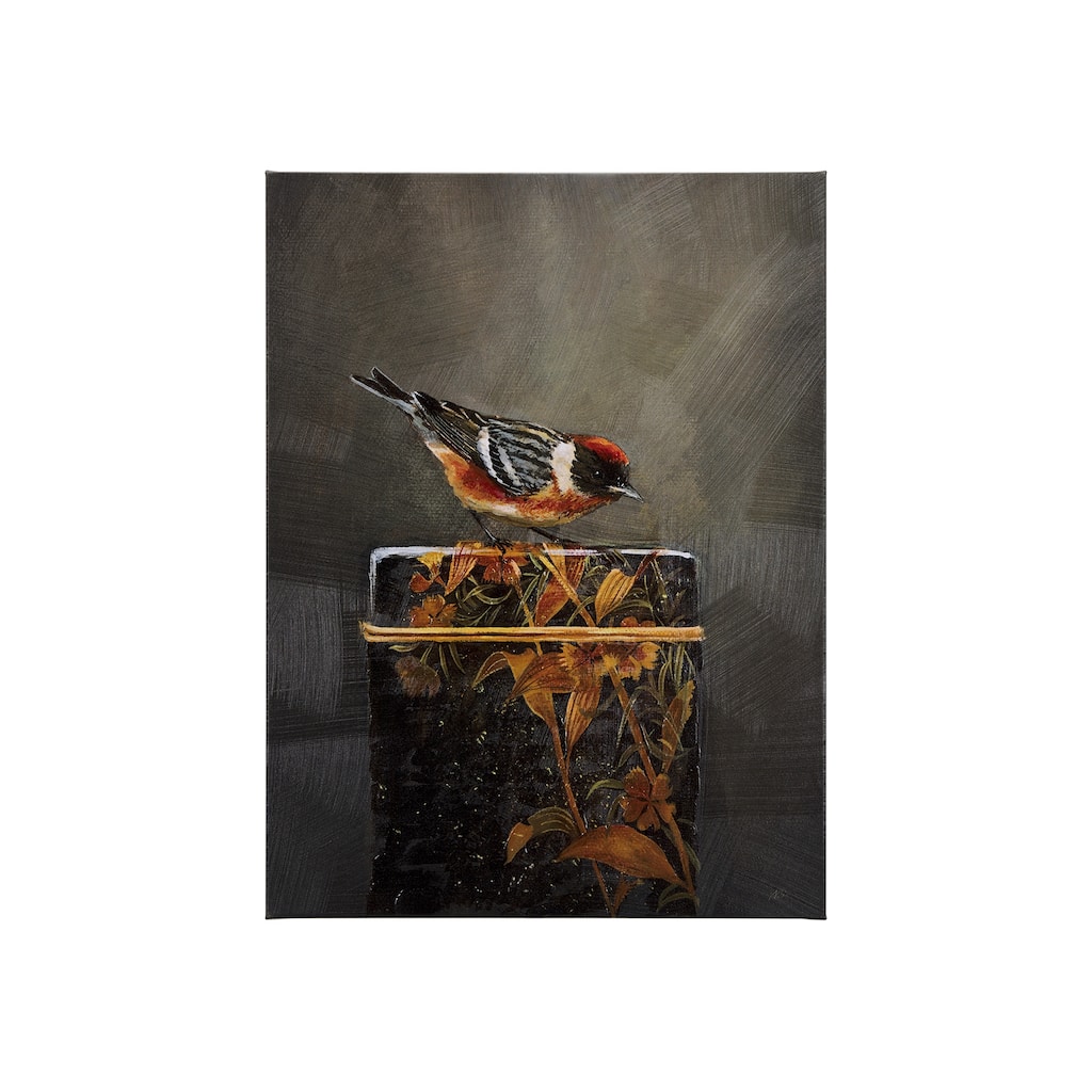 Graceful Poise III (Bay-Breasted Warbler)(30 x 40) Canvas Art Print