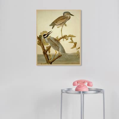 Wynwood Studio Canvas Animals Herons of The Americas White and Cream White Traditional Wall Art Canvas Print