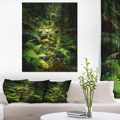 Green Forest of New Zealand - Landscape Photo Canvas Art Print