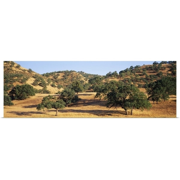 "Oak trees on hill, Stanislaus County, California" Poster Print