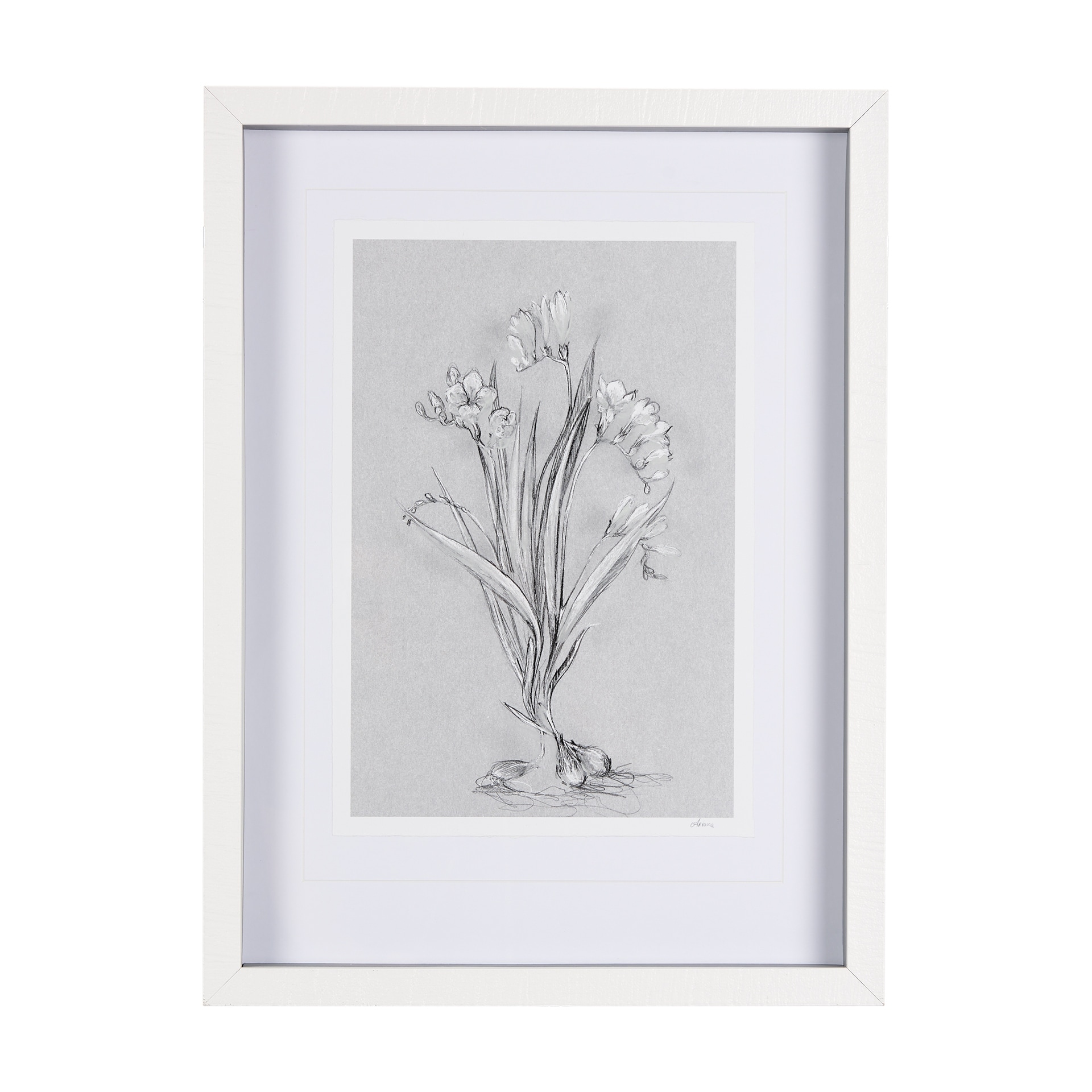Botanical sketches III (Grey) by Mercana Studio Hand Embellished Framed Art Print Matted under Glass