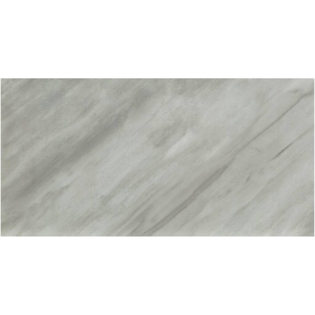 Ackland AKNPTARD12X24M-PL Ardena - 12" x 24" Porcelain Solid Floor and