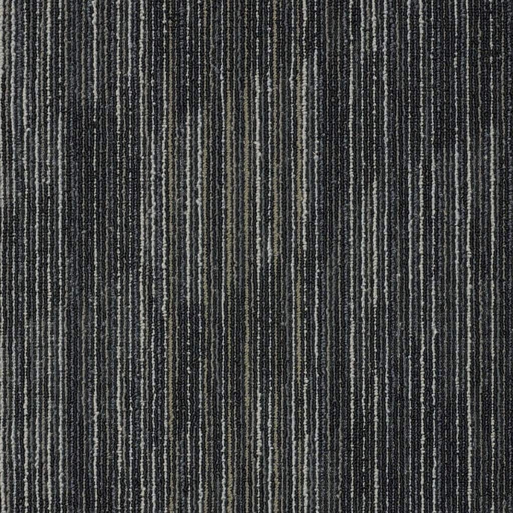 Shaw Philadelphia Commercial Shifting Gears 18" x 36" Glue Down Carpet