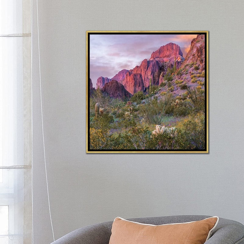 iCanvas "Teddy Bear Cholla And Saguaro, Kofa Nwr, Arizona" by Tim Fitzharris Framed Canvas Print