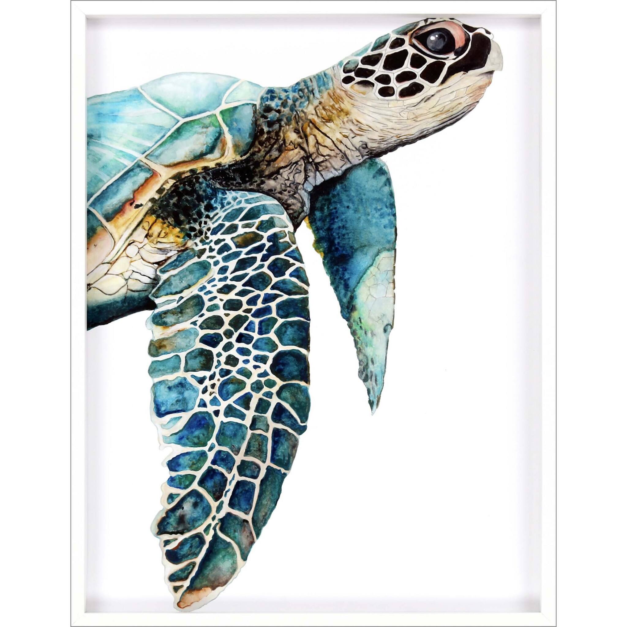 HomeRoots Great Sea Turtle White Print Shadowbox Framed Wall Art Bed