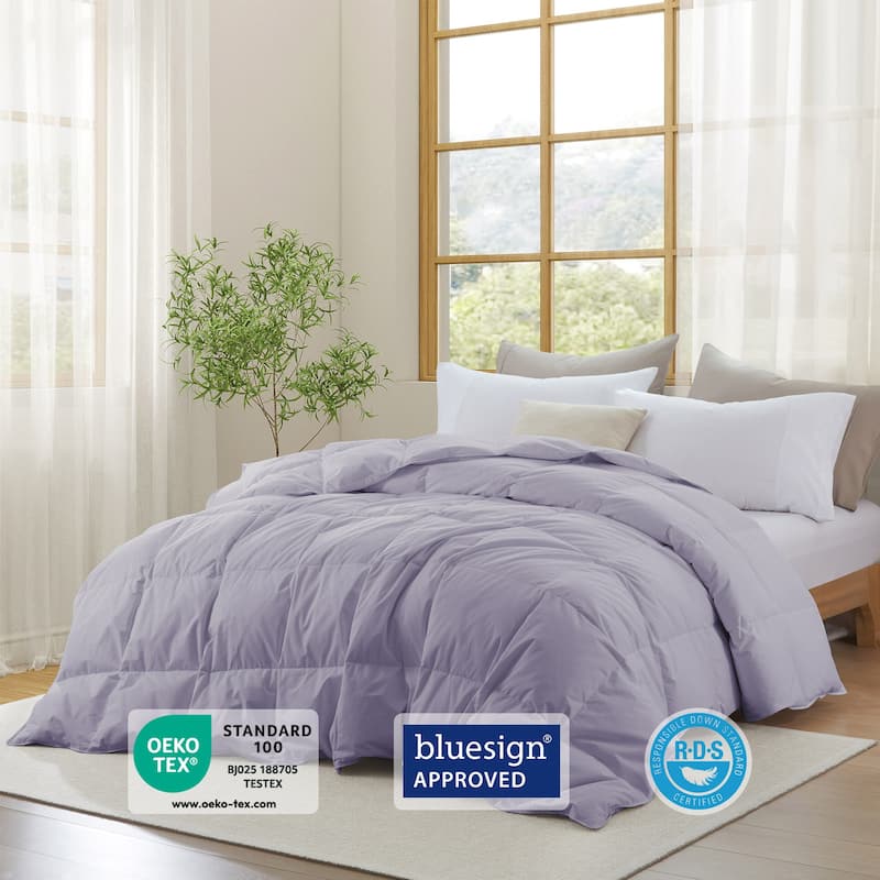 All Season 300TC Organic Cotton Down Comforter - 100% Natural, Chemical-Free, Medium Warmth Duvet Insert