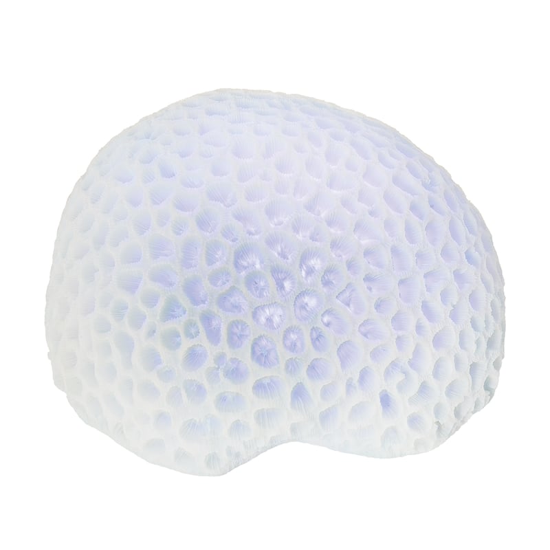 Blue Coral with Led Figurine