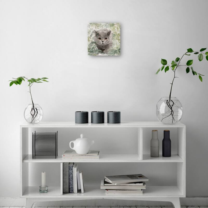 Island Kitties I By Studio Arts Canvas Art Print