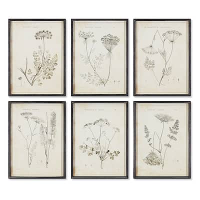 Wildflower Study, Set Of 6