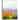 Abstract Cosmos of Colorful Flowers - Large Flower Canvas Wall Art